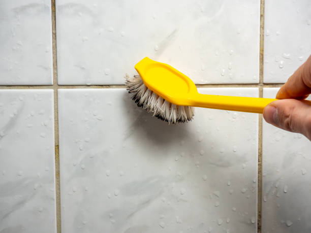 Best Mold Remediation  in Bear Creek, AK