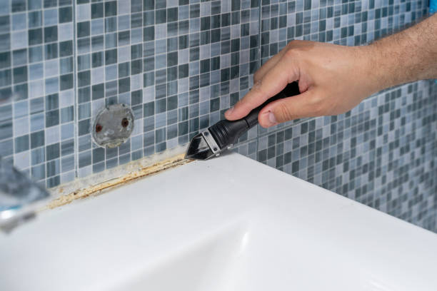 Best Mold Removal Company Near Me  in Bear Creek, AK